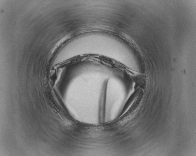 X0000065261210200603131154