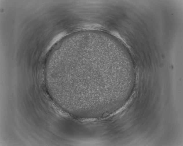 X0000065261211200603131154