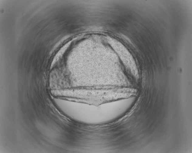 X0000065261212200603131154