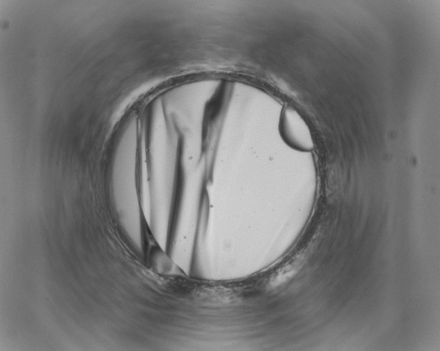 X0000065261214200603131154