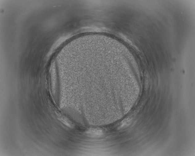 X0000065261215200603131154