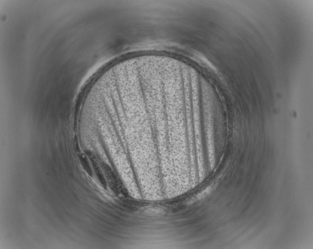 X0000065261216200603131154