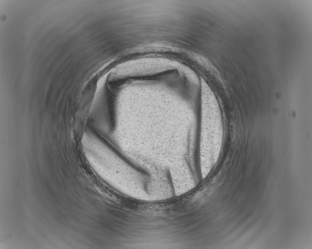 X0000065261217200603131154