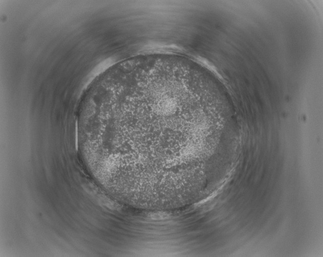 X0000065261219200603131154