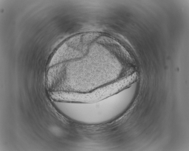 X0000065261220200603131154