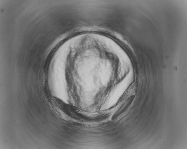 X0000065261221200603131154