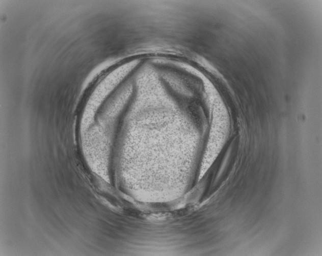 X0000065261222200603131154