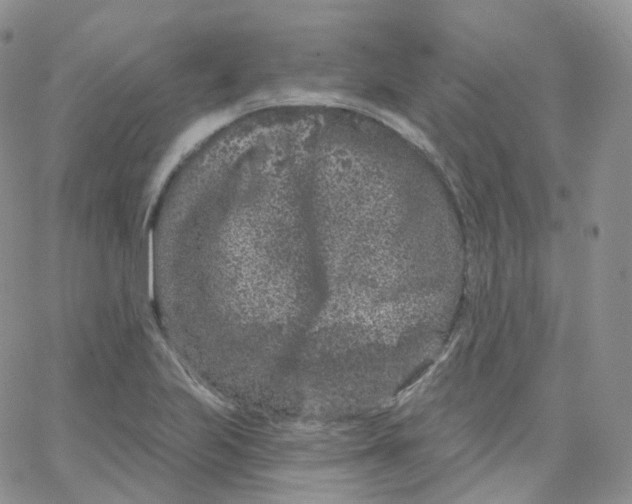 X0000065261223200603131154