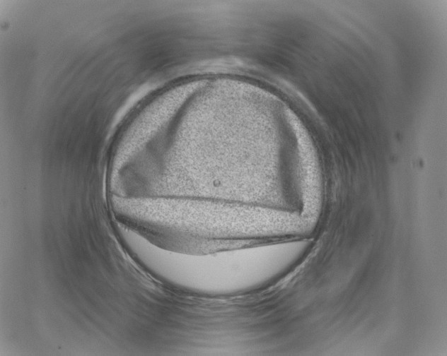 X0000065261224200603131154