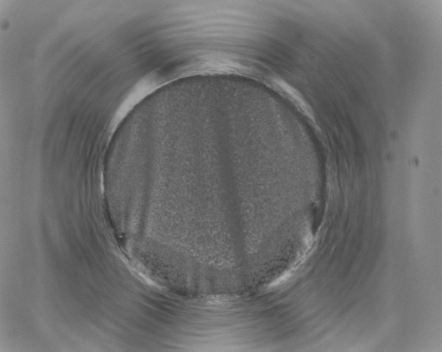 X0000065261226200603131154