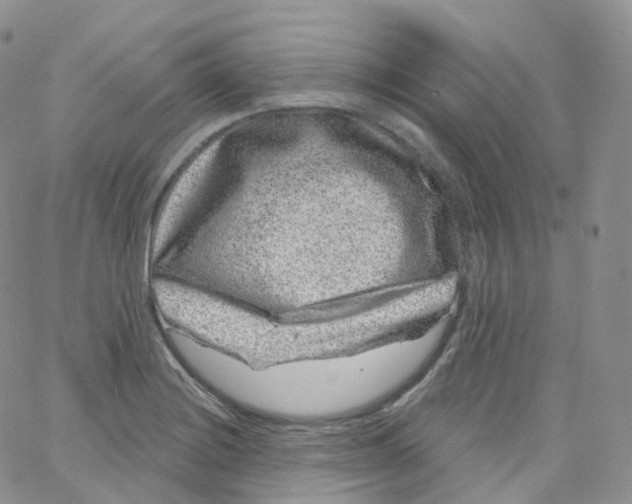 X0000065261228200603131154