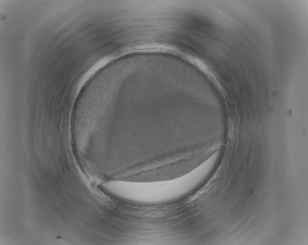 X0000065261229200603131154