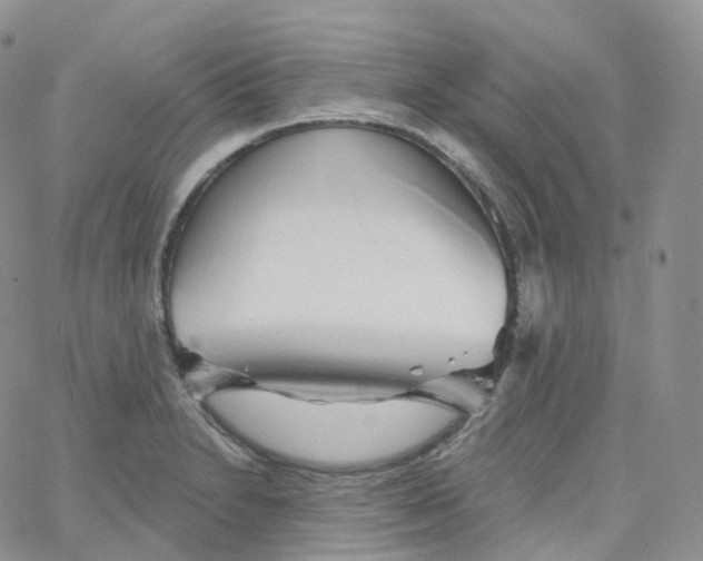 X0000065261230200603131154