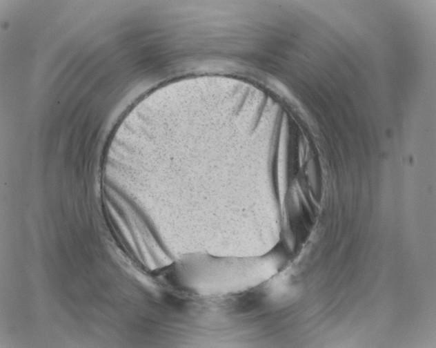 X0000065261232200603131154