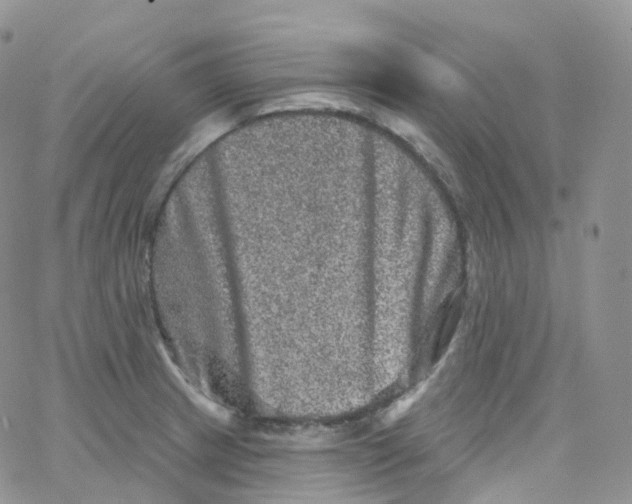 X0000065261233200603131154