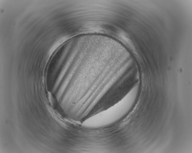 X0000065261234200603131154