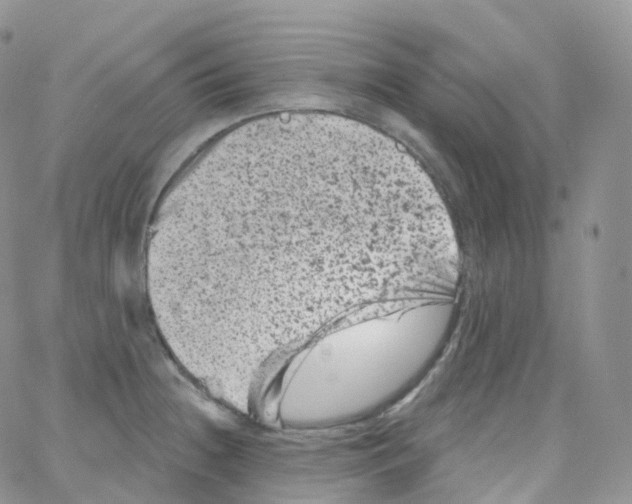 X0000065261236200603131154