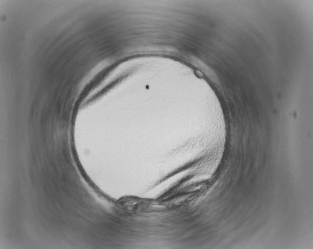 X0000065261237200603131154