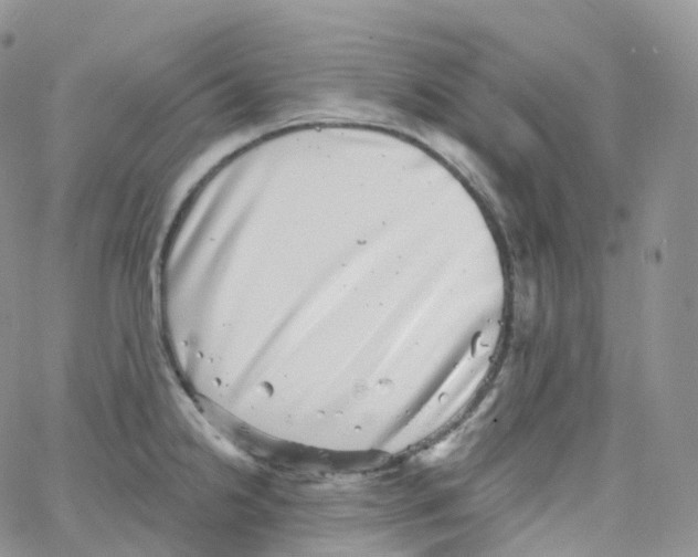 X0000065261238200603131154