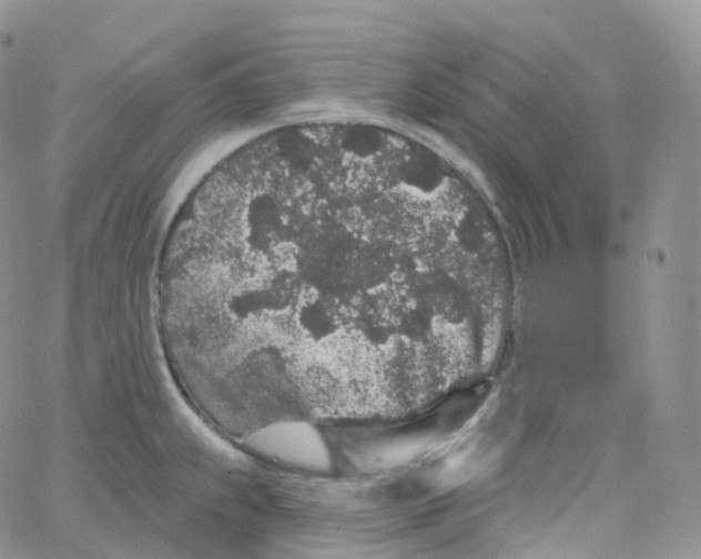 X0000065261239200603131154