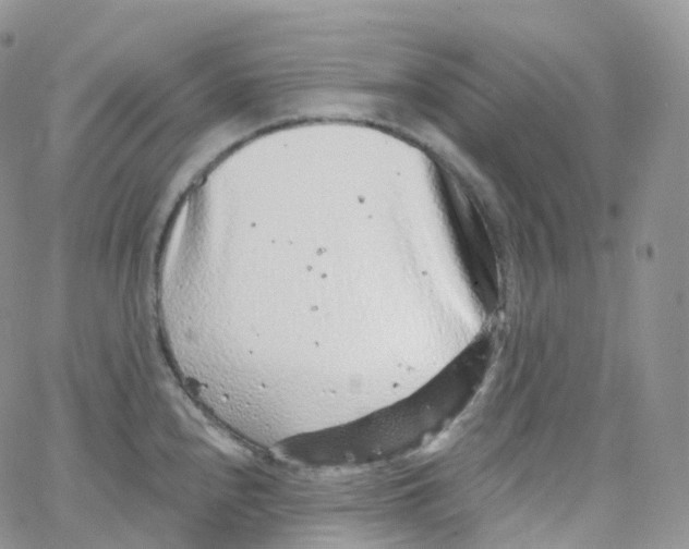 X0000065261240200603131154