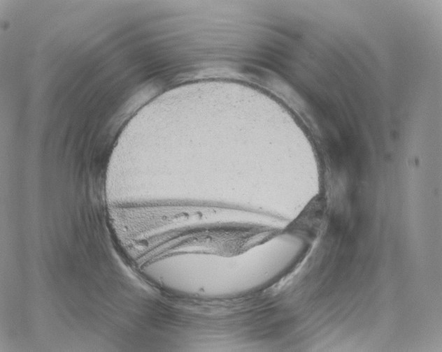 X0000065261241200603131154