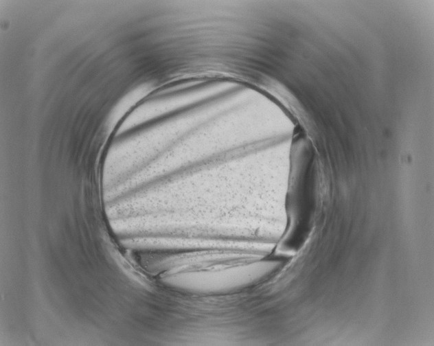 X0000065261242200603131154