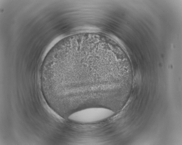 X0000065261243200603131154