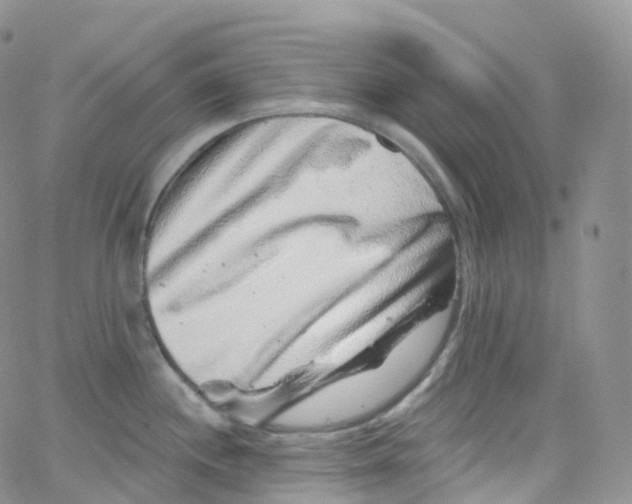 X0000065261244200603131154