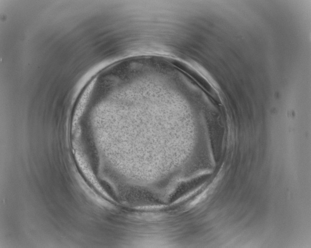 X0000065261246200603131154