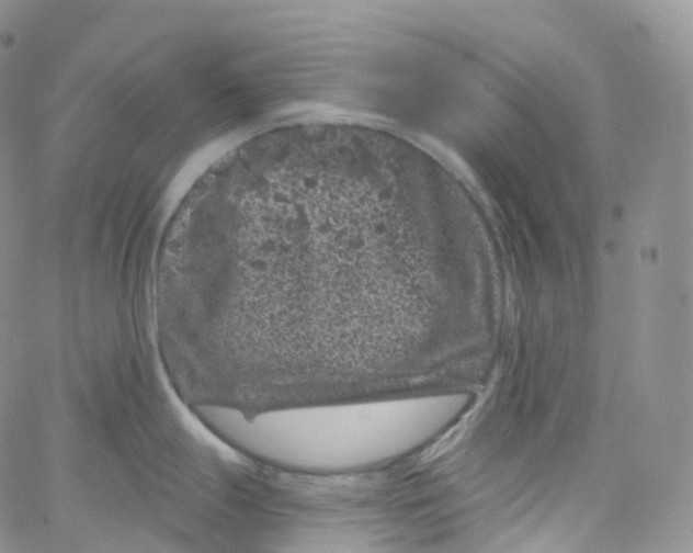 X0000065261247200603131154