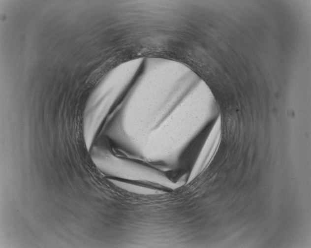 X0000065261250200603131154