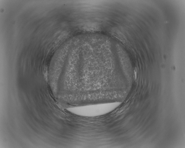 X0000065261251200603131154