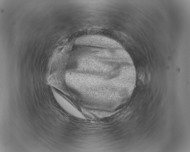 X0000065261252200603131154