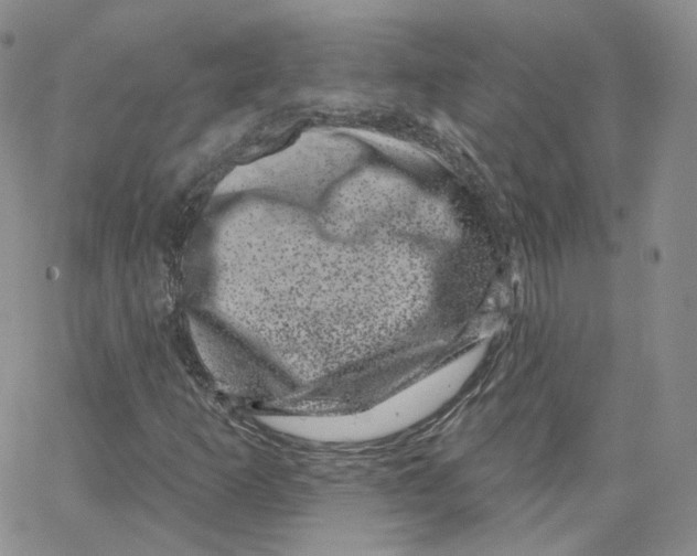 X0000065261253200603131154