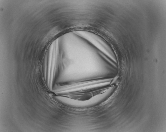 X0000065261257200603131154