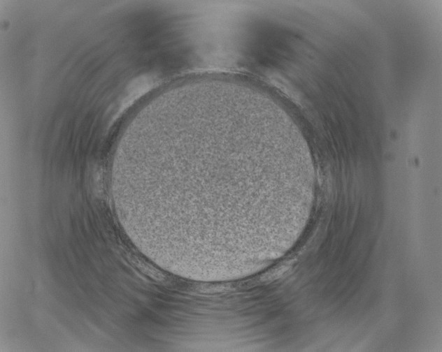 X0000065261258200603131154