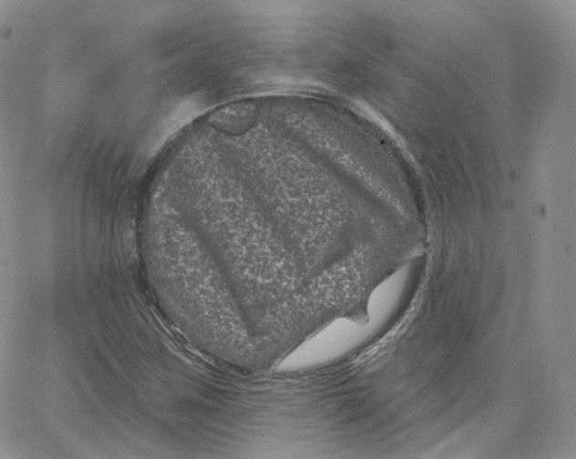 X0000065261259200603131154