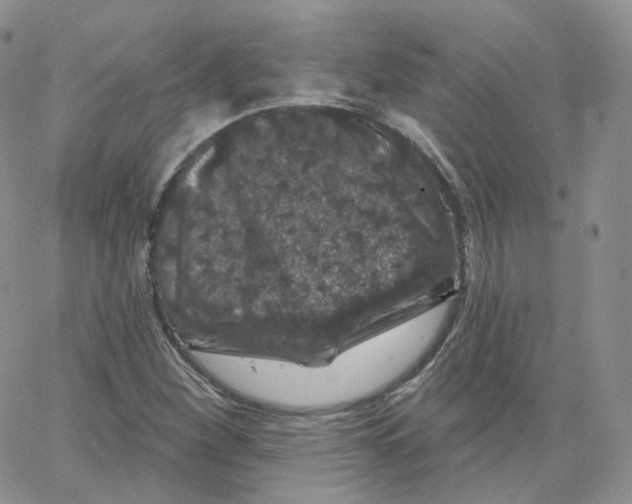 X0000065261260200603131153