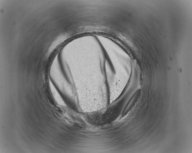 X0000065261261200603131153