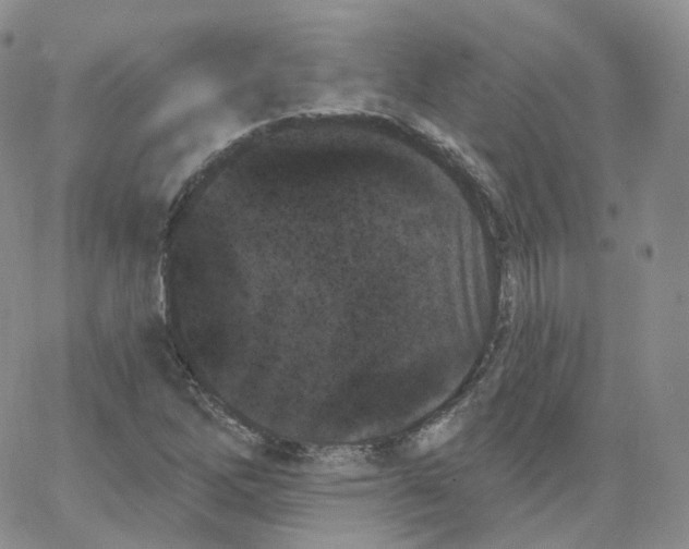 X0000065261262200603131153