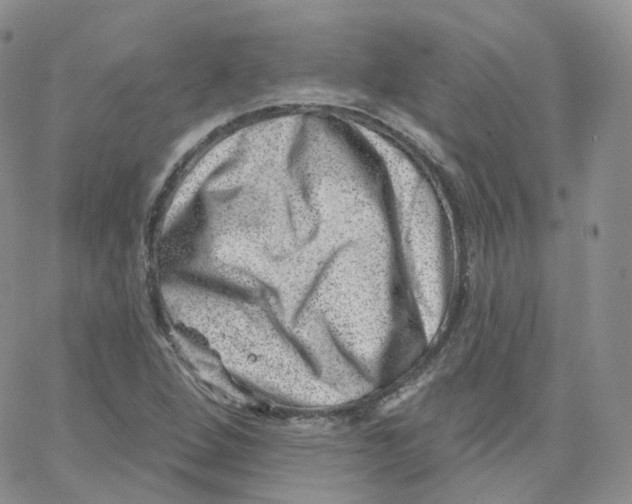 X0000065261264200603131153