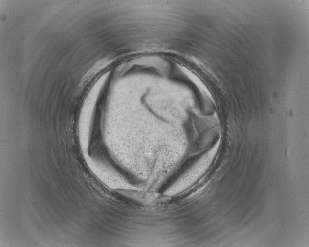 X0000065261265200603131153