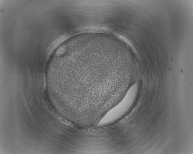 X0000065261267200603131153