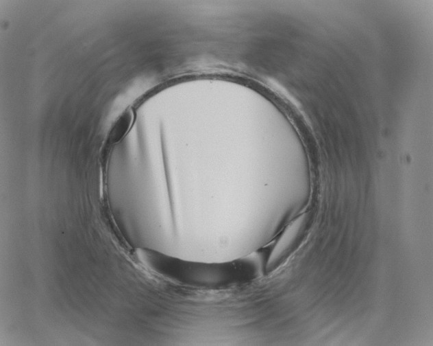 X0000065261269200603131153