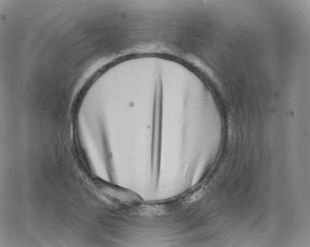 X0000065261270200603131153