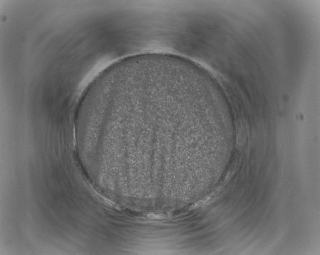 X0000065261271200603131153