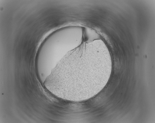 X0000065261272200603131153