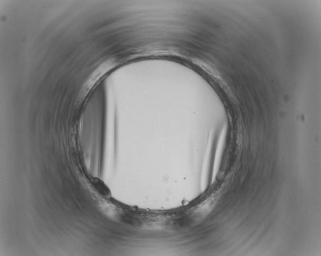 X0000065261273200603131153