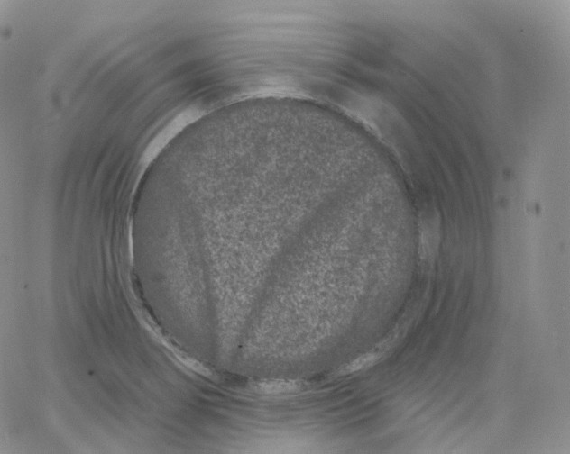 X0000065261274200603131153